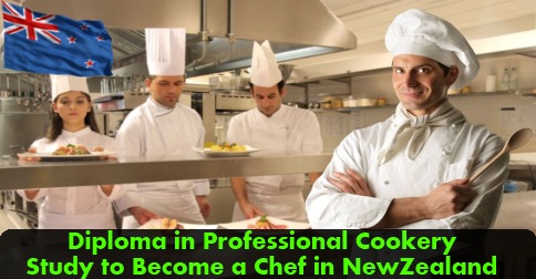 Cooking Courses In New Zealand