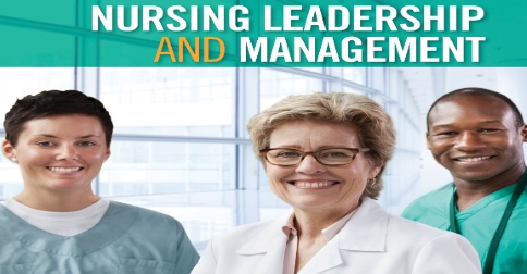 Interested In A Health Care Nursing Leadership Program?